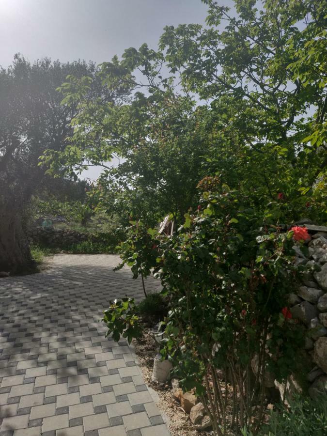 Guest House Maslina Vinišće Екстериор снимка